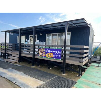 【無添加・砂糖不使用】農家が本気で作ったドライブルーベリー(15g×6パック) H164-014