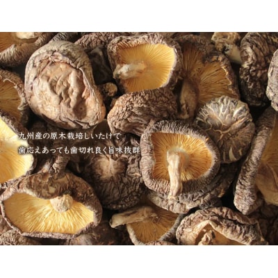 <訳あり>【着色料・保存料不使用】しいたけの旨味つゆ(300ml×6本) H207-003