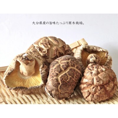 <訳あり>【着色料・保存料不使用】しいたけの旨味つゆ(300ml×12本) H207-004