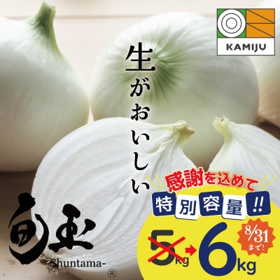 (予約受付)【期間限定特別容量5→6kg】≪某TVで紹介≫ 新玉ねぎ「旬玉」6kg H105-273