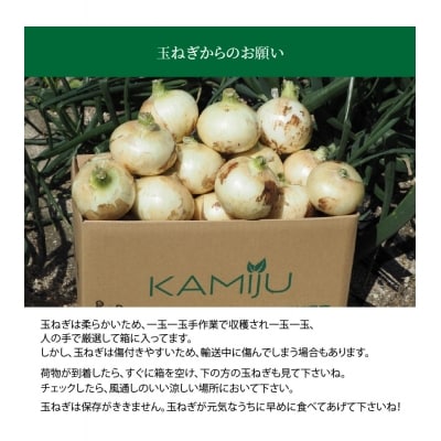 (予約受付)【期間限定特別容量5→6kg】≪某TVで紹介≫ 新玉ねぎ「旬玉」6kg H105-273