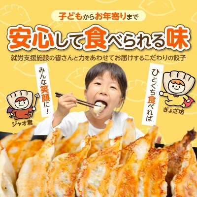 ≪家族が笑顔になる餃子≫『すまいる餃子』 24個 餃子 ぎょうざ 三河ポーク H204-002