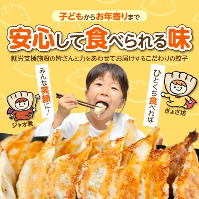 ≪家族が笑顔になる餃子≫『すまいる餃子』 36個 餃子 ぎょうざ 三河ポーク H204-003