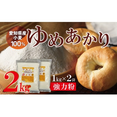 (お試し)【小麦粉】愛知県産 ゆめあかり パン用 強力粉 1kg×2袋(計2kg) H008-296