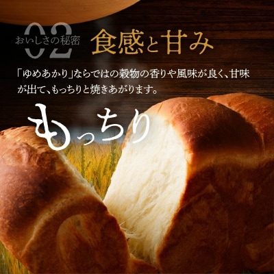 (お試し)【小麦粉】愛知県産 ゆめあかり パン用 強力粉 1kg×2袋(計2kg) H008-296