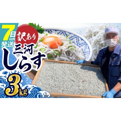 訳あり 大モリ3kg!バラエティ豊富な三河しらす～海の仲間たち～ 魚介類  H018-069