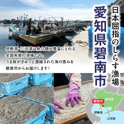 訳あり 大モリ3kg!バラエティ豊富な三河しらす～海の仲間たち～ 魚介類  H018-069