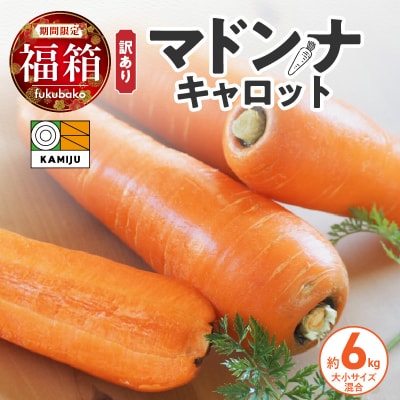 【福箱★2027】訳ありマドンナキャロット6kg 子どもも食べられる甘み H105-276