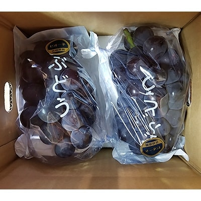 吉崎農園の厳選【種なしピオーネ】1kg