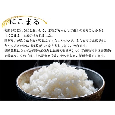 福岡県宮若産　10月下旬より順次発送「にこまる」(2024年産)　米・食味国際大会金賞米　12kg