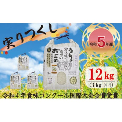 【2024年産】10月下旬より順次発送「実りつくし」米・食味コンクール国際大会金賞米12kgM194