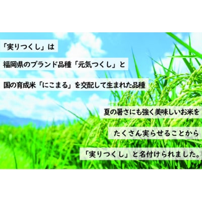 【2024年産】10月下旬より順次発送「実りつくし」米・食味コンクール国際大会金賞米12kgM194