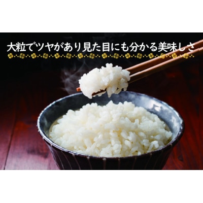 【2024年産】10月下旬より順次発送「実りつくし」米・食味コンクール国際大会金賞米12kgM194