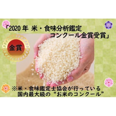 【2024年産】10月下旬より順次発送「実りつくし」米・食味コンクール国際大会金賞米12kgM194