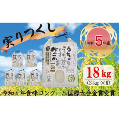 【2024年産】10月下旬より順次発送「実りつくし」米・食味コンクール国際大会金賞18kg　M195