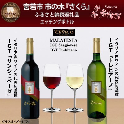 宮若市「さくら」エッチングボトル 地酒ワイン 赤白 2本セット MY205