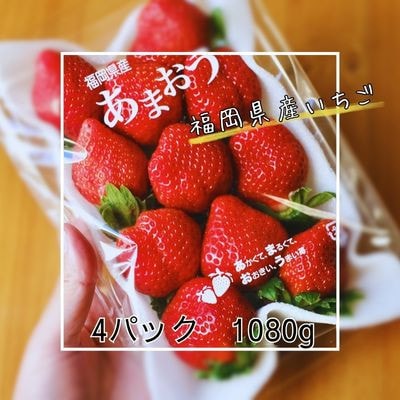【あまおうグランデサイズ】3玉~15玉(4パック)【1月より順次発送】(宮若市)