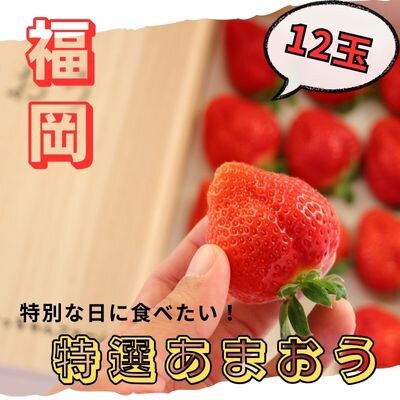 【先行受付】_特選あまおう　約400g　12月から順次発送(宮若市)