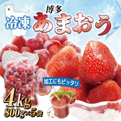冷凍「博多あまおう」800g×5袋 計4kg(宮若市)