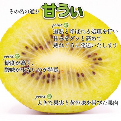 【2026年11月上旬～11月下旬発送予定】博多甘うぃ(キウイフルーツ) 約3.6kg(宮若市)