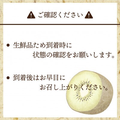【2026年11月上旬～11月下旬発送予定】博多甘うぃ(キウイフルーツ) 約3.6kg(宮若市)