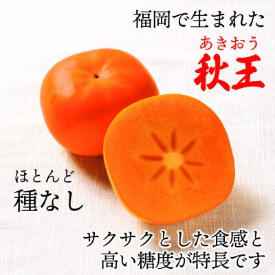 【2026年10月下旬～11月下旬発送予定】福岡県ブランド柿「秋王」化粧箱 約1.75kg(宮若市)