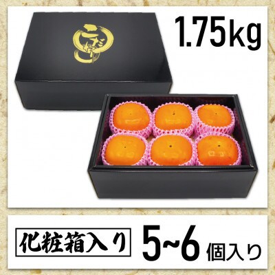 【2026年10月下旬～11月下旬発送予定】福岡県ブランド柿「秋王」化粧箱 約1.75kg(宮若市)