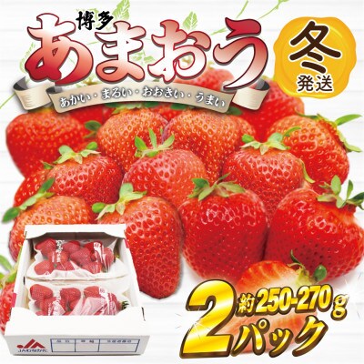 【2026年12月上旬～27年1月下旬発送予定】博多あまおう(冬)250g-270g×2P(宮若市)