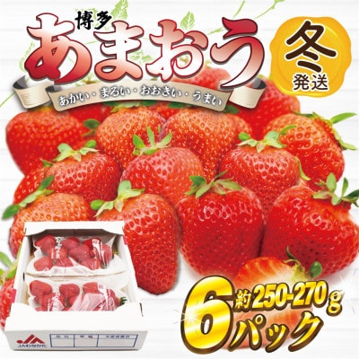 【2026年12月上旬～27年1月下旬発送予定】博多あまおう(冬)250g-270g×6P(宮若市)