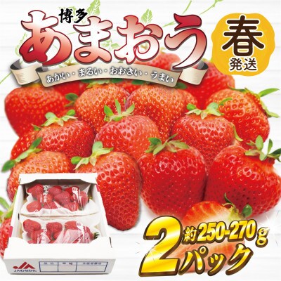 【2027年2月上旬～4月下旬発送予定】博多あまおう(春) 250g-270g×2パック(宮若市)