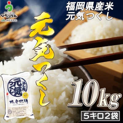 JAよりお届け!福岡県ブランド米「元気つくし」10kg (宮若市)