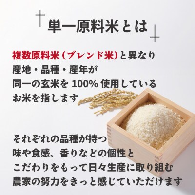 JAよりお届け!福岡県ブランド米「元気つくし」10kg (宮若市)