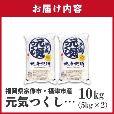 JAよりお届け!福岡県ブランド米「元気つくし」10kg (宮若市)