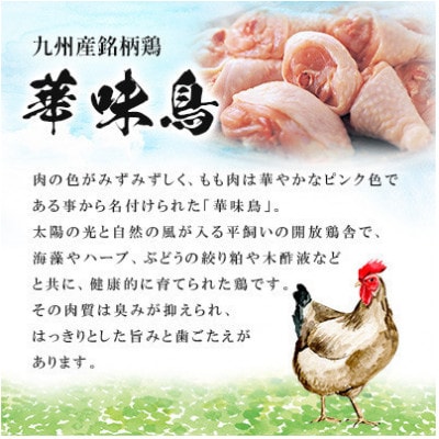 【毎月定期便】博多華味鳥 もつ鍋セット(醤油味) 3～4人前(宮若市)全3回