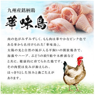 【毎月定期便】博多華味鳥 水たきセット 3～4人前 柚胡椒付(宮若市)全6回