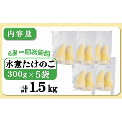 無添加たけのこ水煮 計1.5kg(300g×5袋) 4月上旬から順次発送