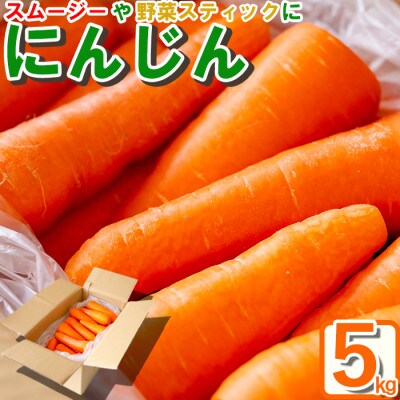 栽培期間中、農薬・化学肥料を使わず育てた《自然のまま》にんじん 5kg 畑の天使