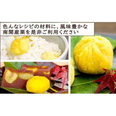 熊本県 南関町産 冷凍 むき栗 600g (300g×2袋)