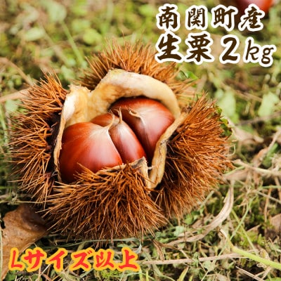 熊本県南関町産 生栗 計2kg