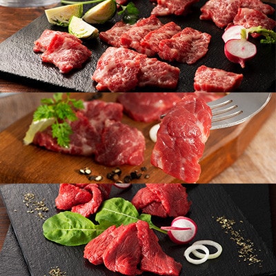 「熊本特産」フジチク厳選ふじ馬刺し6種セット(南関町)