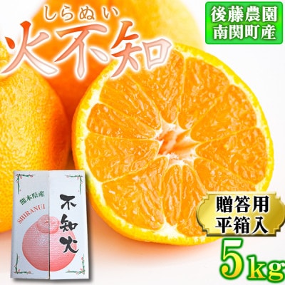 【平箱入り】後藤農園 不知火 5kg 贈答用 南関町産