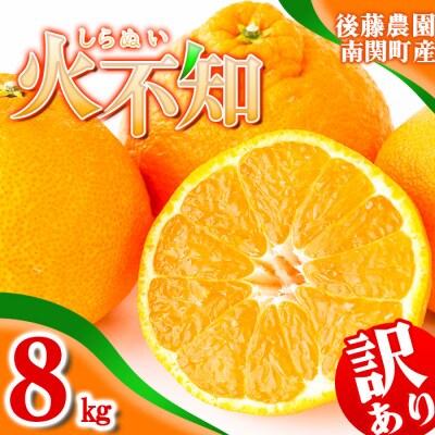 ご家庭用【先行受付】後藤農園 不知火 8kg 訳あり 熊本県 南関町