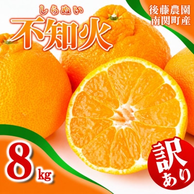ご家庭用【先行受付】後藤農園 不知火 8kg 訳あり 熊本県 南関町