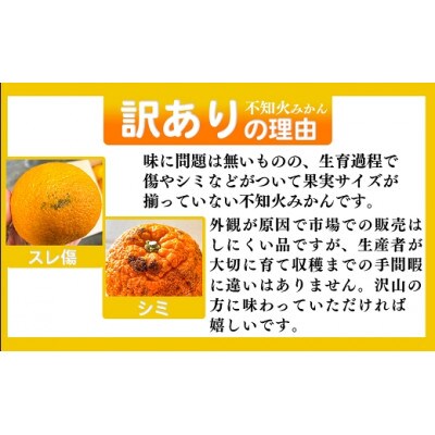 ご家庭用【先行受付】後藤農園 不知火 8kg 訳あり 熊本県 南関町