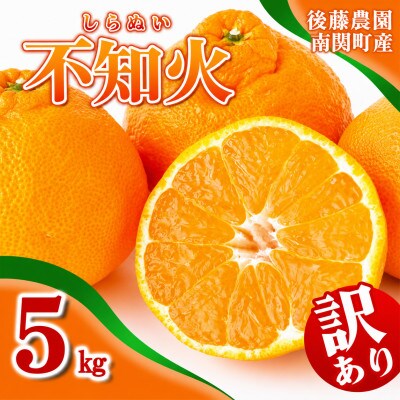ご家庭用【先行受付】後藤農園 不知火 5kg 訳あり 熊本県 南関町