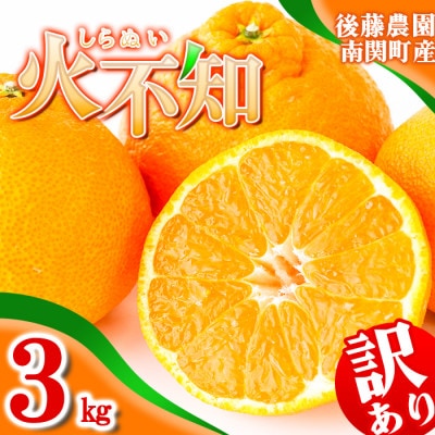 ご家庭用【先行受付】後藤農園 不知火 3kg 訳あり 熊本県 南関町