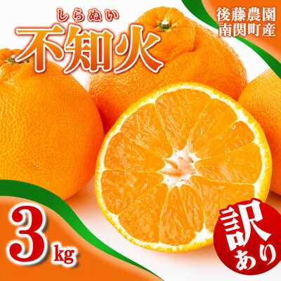 ご家庭用【先行受付】後藤農園 不知火 3kg 訳あり 熊本県 南関町