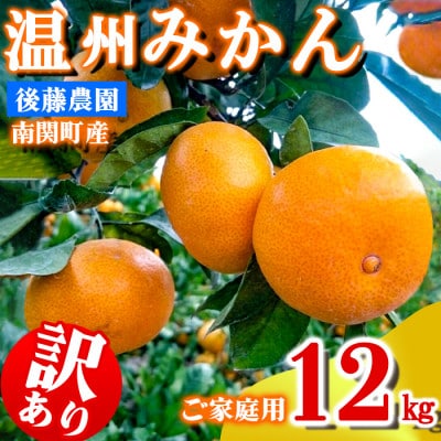 ご家庭用 後藤農園 温州みかん 12kg 訳あり 熊本県 南関町