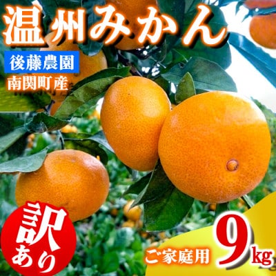 ご家庭用 後藤農園 温州みかん 9kg 訳あり 熊本県 南関町