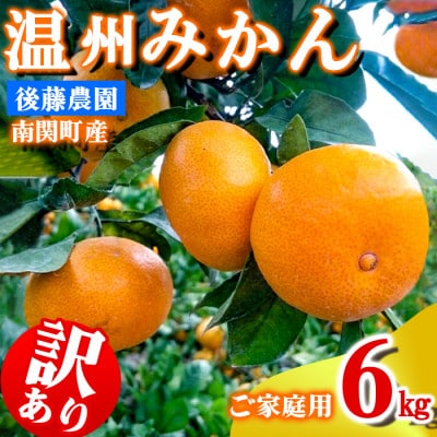 ご家庭用 後藤農園 温州みかん 6kg 訳あり 熊本県 南関町